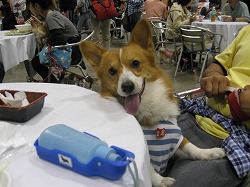 IMG_3387.jpg