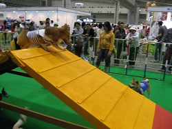 IMG_3422.jpg