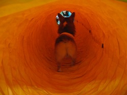 IMG_3448.jpg