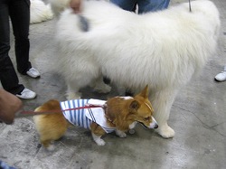 IMG_3464.jpg