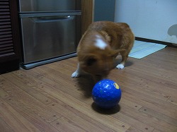 IMG_3564.jpg