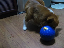 IMG_3576.jpg