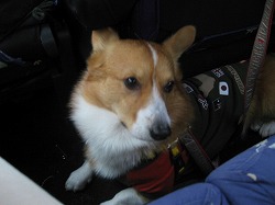 IMG_3700.jpg