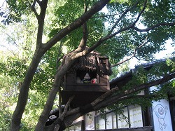 IMG_3872.jpg