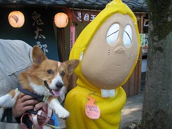 IMG_3879.jpg
