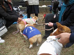 IMG_4004.jpg