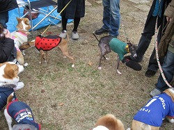 IMG_4006.jpg