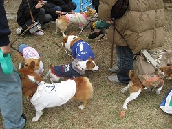 IMG_4008.jpg