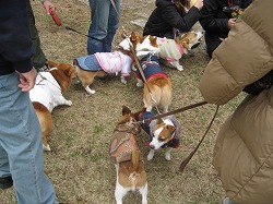 IMG_4009.jpg