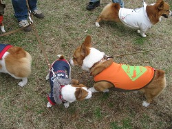 IMG_4015.jpg