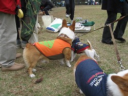 IMG_4016.jpg