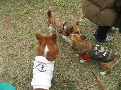 IMG_4019.jpg