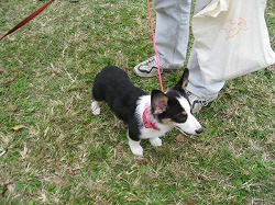 IMG_4029.jpg