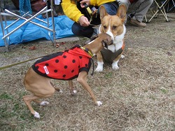 IMG_4037.jpg