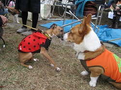 IMG_4038.jpg
