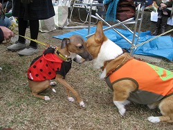 IMG_4039.jpg