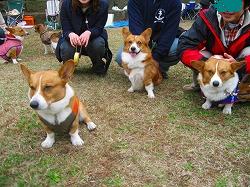IMG_4157.jpg