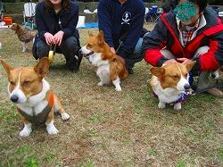 IMG_4161.jpg