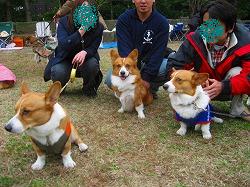 IMG_4166.jpg