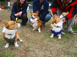 IMG_4174.jpg