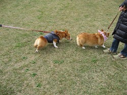 IMG_4408.jpg