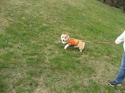IMG_4410.jpg