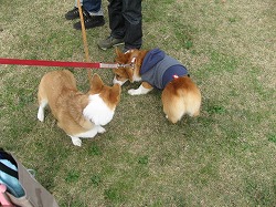 IMG_4414.jpg