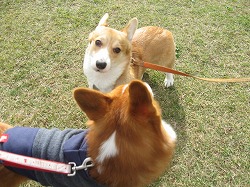 IMG_4417.jpg
