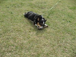 IMG_4418.jpg