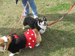IMG_4423.jpg