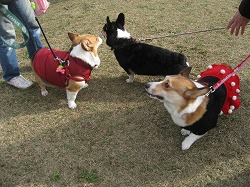 IMG_4426.jpg