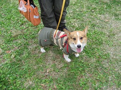 IMG_4215.jpg