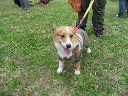 IMG_4217.jpg