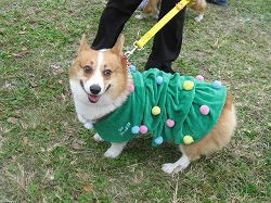 IMG_4220.jpg