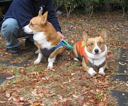 IMG_4305.jpg