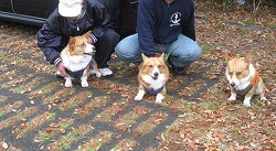 IMG_4309.jpg