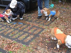 IMG_4310.jpg