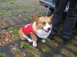 IMG_4322.jpg