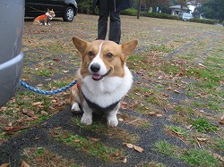 IMG_4324.jpg