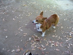 IMG_4717.jpg