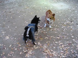 IMG_4718.jpg