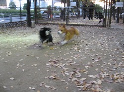 IMG_4721.jpg