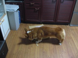 IMG_4805.jpg