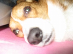 IMG_4883.jpg