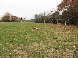 IMG_4989.jpg