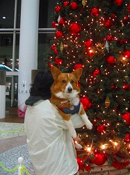 IMG_5335.jpg