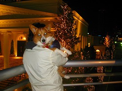 IMG_5342.jpg