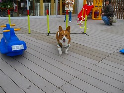 IMG_5520.jpg