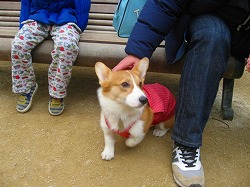 IMG_5547.jpg