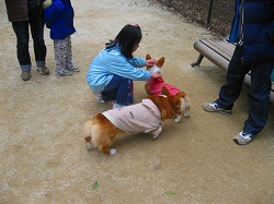 IMG_5549.jpg